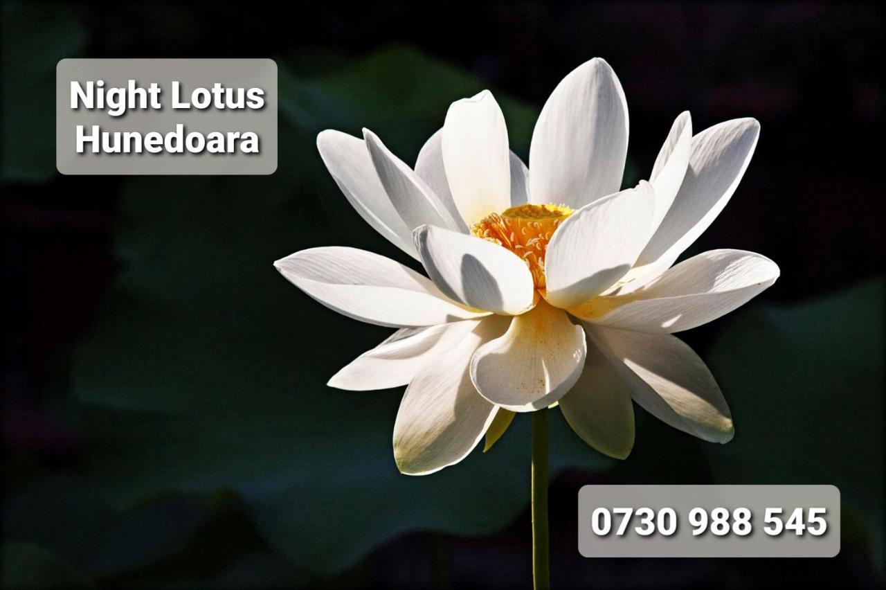 Appartamento Night Lotus Hunedoara Esterno foto